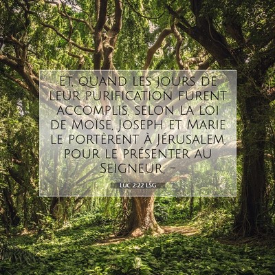 Picture 07 - Luc 2:22 LSG - Et, quand les jours de leur purification furent - Bible Verse Picture