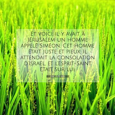 Picture 07 - Luc 2:25 LSG - Et voici, il y avait à Jérusalem un homme - Bible Verse Picture