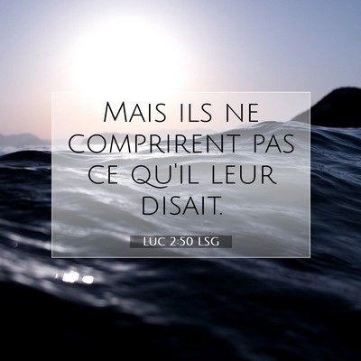Picture 07 - Luc 2:50 LSG - Mais ils ne comprirent pas ce qu'il leur - Bible Verse Picture
