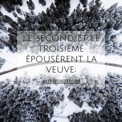 Picture 07 - Luc 20:30 LSG - Le second et le troisième épousèrent la - Bible Verse Picture