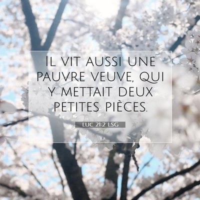 Picture 07 - Luc 21:2 LSG - Il vit aussi une pauvre veuve, qui y mettait deux - Bible Verse Picture