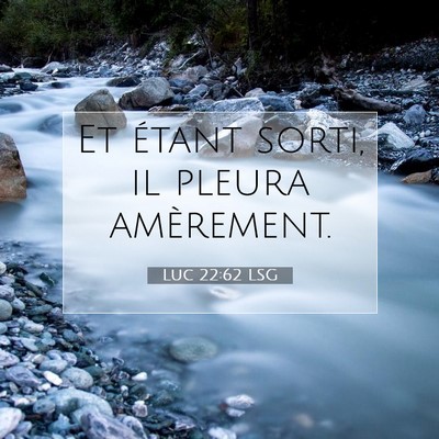 Picture 07 - Luc 22:62 LSG - Et étant sorti, il pleura - Bible Verse Picture