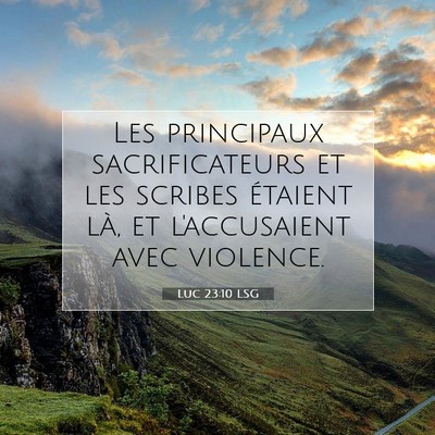 Picture 07 - Luc 23:10 LSG - Les principaux sacrificateurs et les scribes - Bible Verse Picture