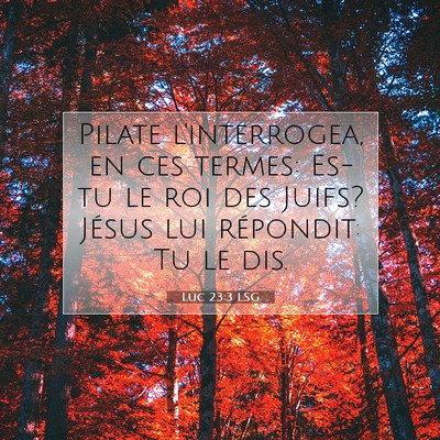 Picture 07 - Luc 23:3 LSG - Pilate l'interrogea, en ces termes: Es-tu le roi - Bible Verse Picture