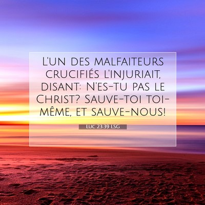 Picture 07 - Luc 23:39 LSG - L'un des malfaiteurs crucifiés l'injuriait, - Bible Verse Picture