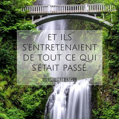 Picture 07 - Luc 24:14 LSG - et ils s'entretenaient de tout ce qui s'était - Bible Verse Picture
