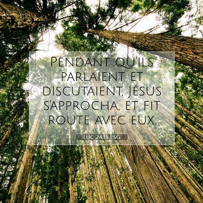 Picture 07 - Luc 24:15 LSG - Pendant qu'ils parlaient et discutaient, Jésus - Bible Verse Picture