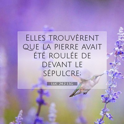 Picture 07 - Luc 24:2 LSG - Elles trouvèrent que la pierre avait été - Bible Verse Picture