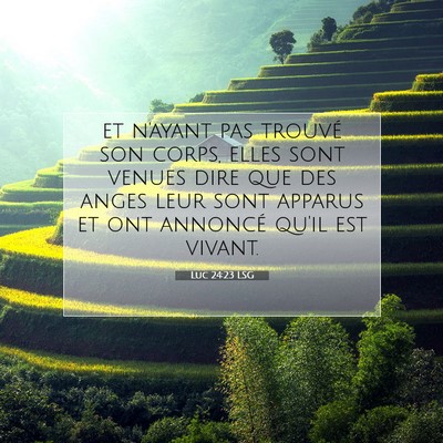 Picture 07 - Luc 24:23 LSG - et n'ayant pas trouvé son corps, elles sont - Bible Verse Picture
