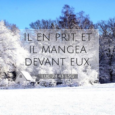 Picture 07 - Luc 24:43 LSG - Il en prit, et il mangea devant - Bible Verse Picture