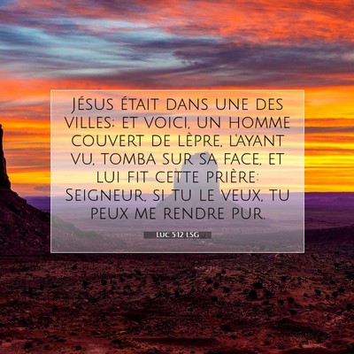 Picture 07 - Luc 5:12 LSG - Jésus était dans une des villes; et voici, un - Bible Verse Picture