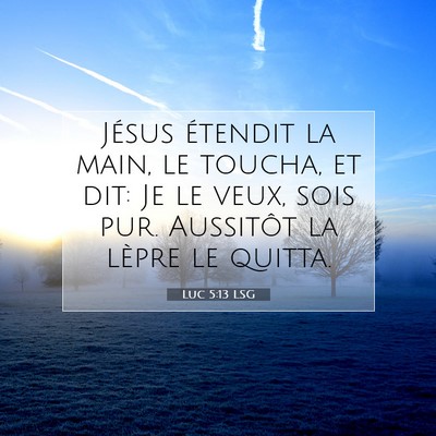 Picture 07 - Luc 5:13 LSG - Jésus étendit la main, le toucha, et dit: Je le - Bible Verse Picture