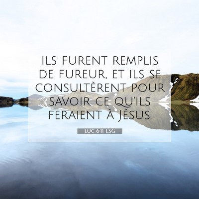 Picture 07 - Luc 6:11 LSG - Ils furent remplis de fureur, et ils se - Bible Verse Picture