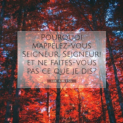 Picture 07 - Luc 6:46 LSG - Pourquoi m'appelez-vous Seigneur, Seigneur! et ne - Bible Verse Picture