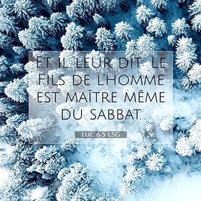 Picture 07 - Luc 6:5 LSG - Et il leur dit: Le Fils de l'homme est maître - Bible Verse Picture