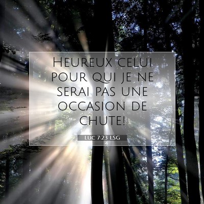 Picture 07 - Luc 7:23 LSG - Heureux celui pour qui je ne serai pas une - Bible Verse Picture