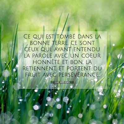 Picture 07 - Luc 8:15 LSG - Ce qui est tombé dans la bonne terre, ce sont - Bible Verse Picture