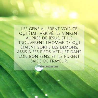 Picture 07 - Luc 8:35 LSG - Les gens allèrent voir ce qui était arrivé. - Bible Verse Picture