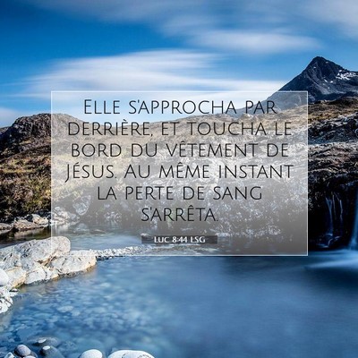 Picture 07 - Luc 8:44 LSG - Elle s'approcha par derrière, et toucha le bord - Bible Verse Picture