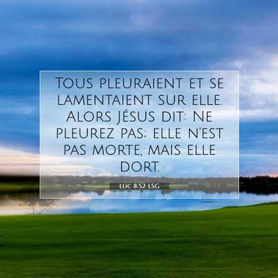 Picture 07 - Luc 8:52 LSG - Tous pleuraient et se lamentaient sur elle. Alors - Bible Verse Picture