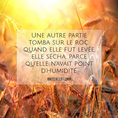 Picture 07 - Luc 8:6 LSG - Une autre partie tomba sur le roc: quand elle fut - Bible Verse Picture