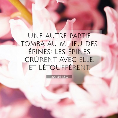Picture 07 - Luc 8:7 LSG - Une autre partie tomba au milieu des épines: les - Bible Verse Picture