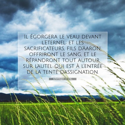 Picture 07 - Lévitique 1:5 LSG - Il égorgera le veau devant l'Eternel; et les - Bible Verse Picture