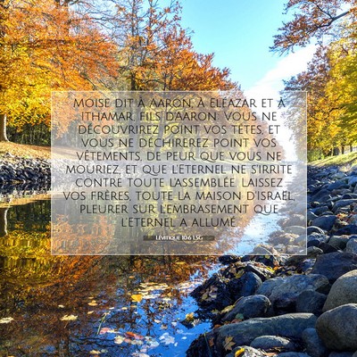 Picture 07 - Lévitique 10:6 LSG - Moïse dit à Aaron, à Eléazar et à Ithamar, - Bible Verse Picture
