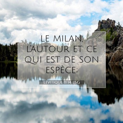 Picture 07 - Lévitique 11:14 LSG - le milan, l'autour et ce qui est de son - Bible Verse Picture