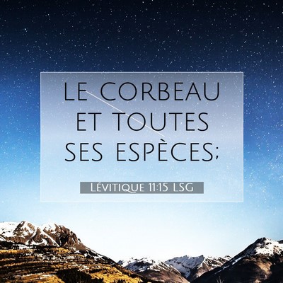 Picture 07 - Lévitique 11:15 LSG - le corbeau et toutes ses - Bible Verse Picture