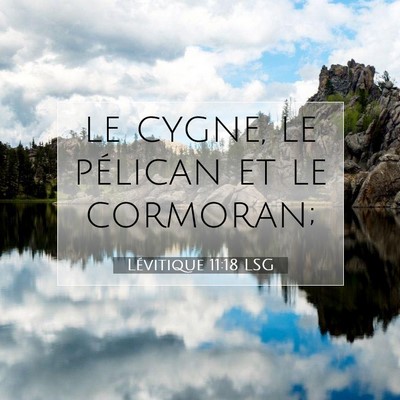 Picture 07 - Lévitique 11:18 LSG - le cygne, le pélican et le - Bible Verse Picture