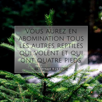 Picture 07 - Lévitique 11:23 LSG - Vous aurez en abomination tous les autres - Bible Verse Picture
