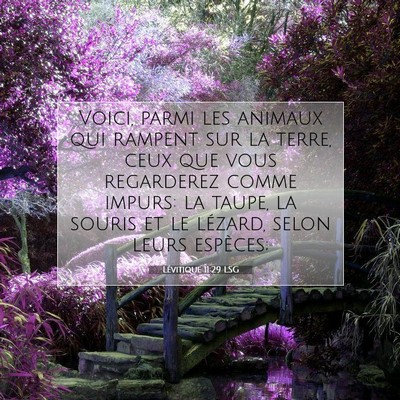 Picture 07 - Lévitique 11:29 LSG - Voici, parmi les animaux qui rampent sur la - Bible Verse Picture