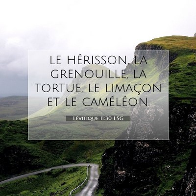 Picture 07 - Lévitique 11:30 LSG - le hérisson, la grenouille, la tortue, le - Bible Verse Picture