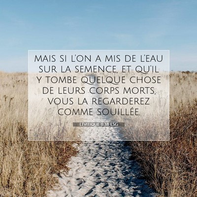 Picture 07 - Lévitique 11:38 LSG - mais si l'on a mis de l'eau sur la semence, et - Bible Verse Picture