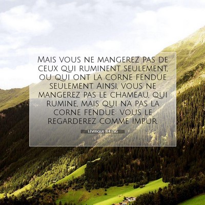 Picture 07 - Lévitique 11:4 LSG - Mais vous ne mangerez pas de ceux qui ruminent - Bible Verse Picture