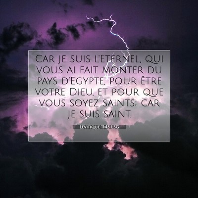 Picture 07 - Lévitique 11:45 LSG - Car je suis l'Eternel, qui vous ai fait monter du - Bible Verse Picture