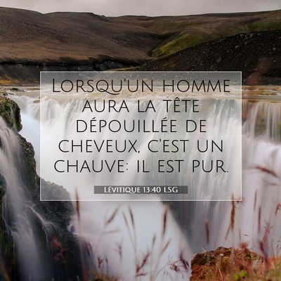 Picture 07 - Lévitique 13:40 LSG - Lorsqu'un homme aura la tête dépouillée de - Bible Verse Picture