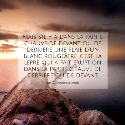 Picture 07 - Lévitique 13:42 LSG - Mais s'il y a dans la partie chauve de devant ou - Bible Verse Picture