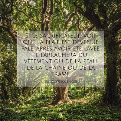 Picture 07 - Lévitique 13:56 LSG - Si le sacrificateur voit que la plaie est devenue - Bible Verse Picture