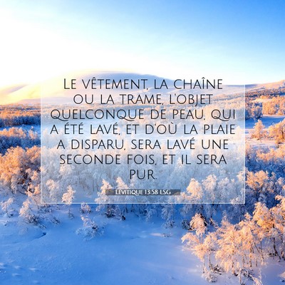 Picture 07 - Lévitique 13:58 LSG - Le vêtement, la chaîne ou la trame, l'objet - Bible Verse Picture