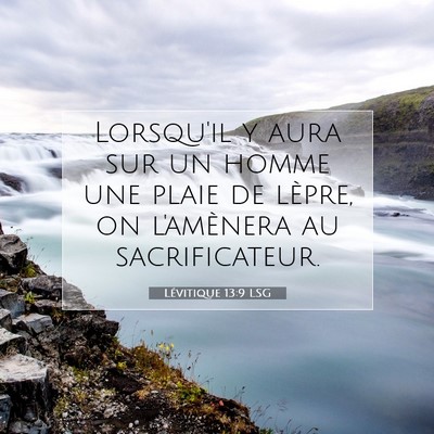 Picture 07 - Lévitique 13:9 LSG - Lorsqu'il y aura sur un homme une plaie de - Bible Verse Picture