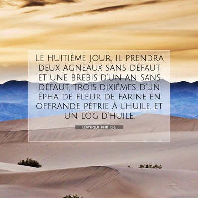 Picture 07 - Lévitique 14:10 LSG - Le huitième jour, il prendra deux agneaux sans - Bible Verse Picture