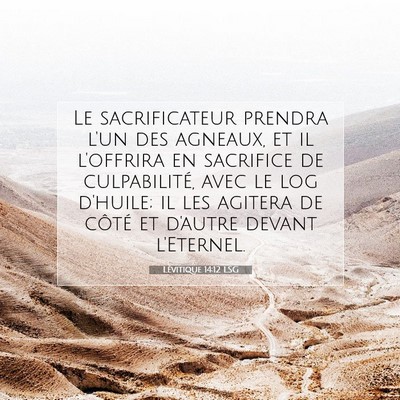 Picture 07 - Lévitique 14:12 LSG - Le sacrificateur prendra l'un des agneaux, et il - Bible Verse Picture