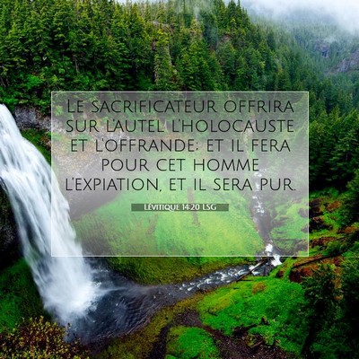 Picture 07 - Lévitique 14:20 LSG - Le sacrificateur offrira sur l'autel l'holocauste - Bible Verse Picture