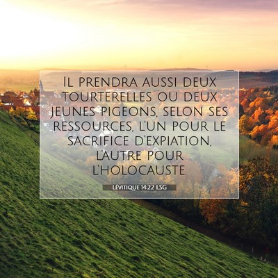 Picture 07 - Lévitique 14:22 LSG - Il prendra aussi deux tourterelles ou deux jeunes - Bible Verse Picture