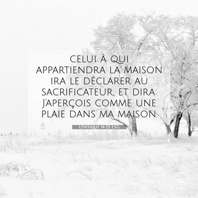 Picture 07 - Lévitique 14:35 LSG - celui à qui appartiendra la maison ira le - Bible Verse Picture