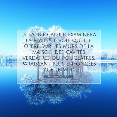 Picture 07 - Lévitique 14:37 LSG - Le sacrificateur examinera la plaie. S'il voit - Bible Verse Picture