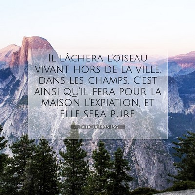 Picture 07 - Lévitique 14:53 LSG - Il lâchera l'oiseau vivant hors de la ville, - Bible Verse Picture