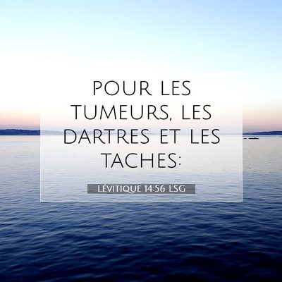 Picture 07 - Lévitique 14:56 LSG - pour les tumeurs, les dartres et les - Bible Verse Picture